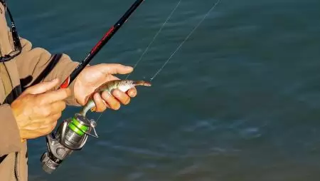 Mágneshorgászok segítségével elsőként mérték fel a HUN-REN ÖK kutatói a hazai vizekben elvesztett horgászeszközöket