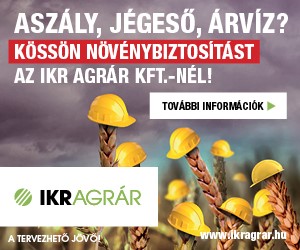 Meg&eacute;ri n&ouml;v&eacute;nybiztos&iacute;t&aacute;st k&ouml;tni, &aacute;llami t&aacute;mogat&aacute;s is j&aacute;r mell&eacute;