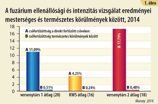 Mi a fontosabb:  mennyiség vagy minőség?