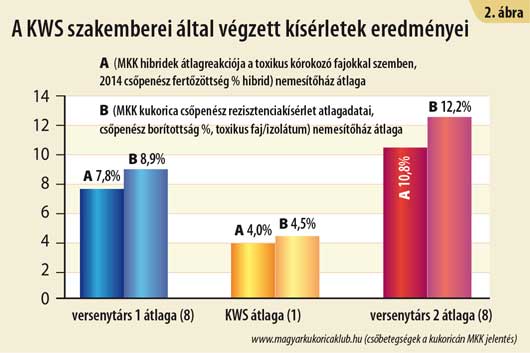 Mi a fontosabb:  mennyiség vagy minőség?