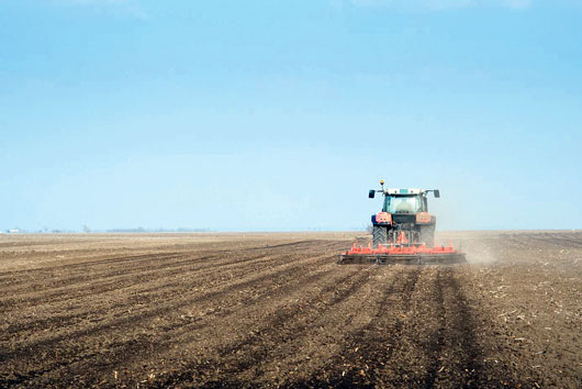 Talajművel&eacute;s &eacute;s talaj&eacute;let &ndash; &bdquo;2015 a talajok nemzetk&ouml;zi &eacute;ve&rdquo;