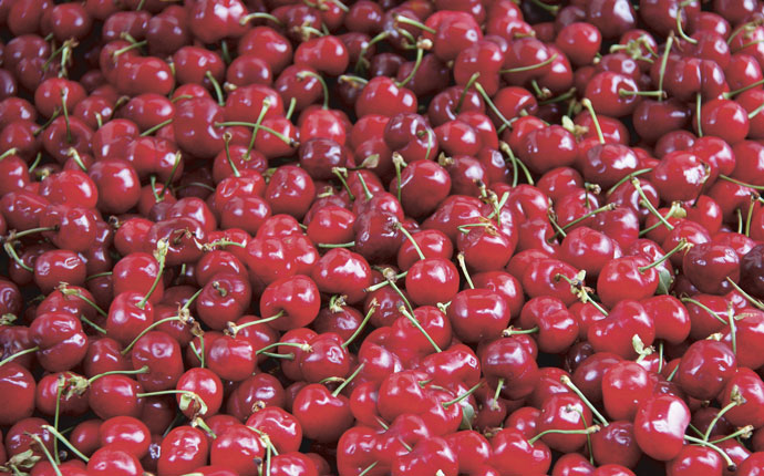 A mell&eacute;klet rejti a l&eacute;nyeget &ndash; &Ouml;nt&ouml;z&ouml;tt &uuml;ltetv&eacute;ny ki&eacute;p&iacute;t&eacute;s&eacute;re tizenkilencmilli&aacute;rd ford&iacute;that&oacute;