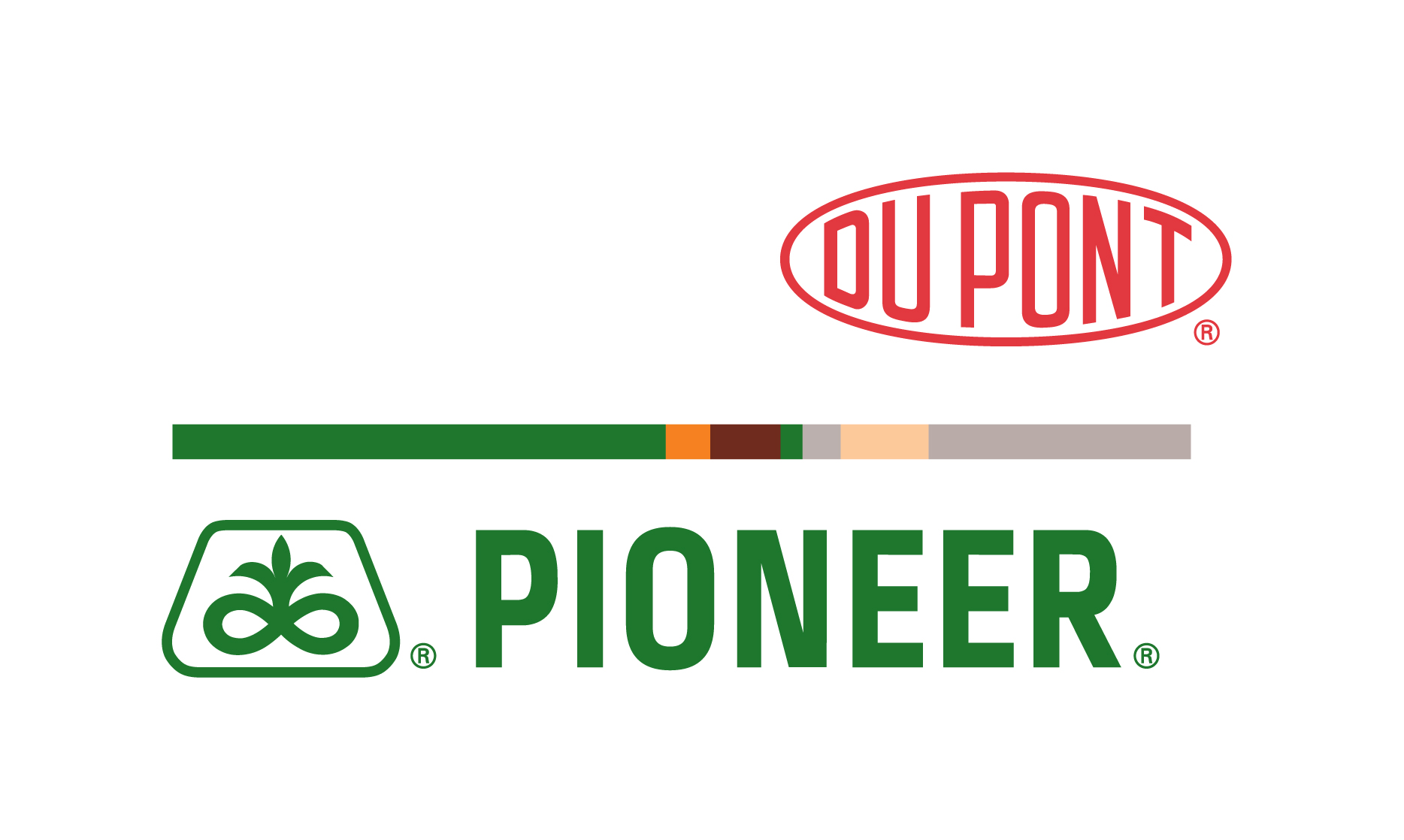 paoneer3