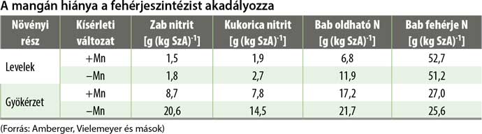 kiscsavt