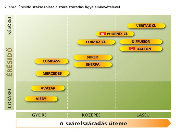 rapol&eacute;r&eacute;sidő