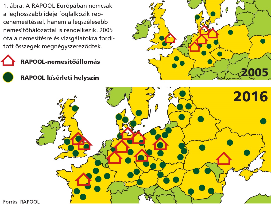 RAPOOL nemes&iacute;tő&aacute;llom&aacute;s, k&iacute;s&eacute;rleti helyszin