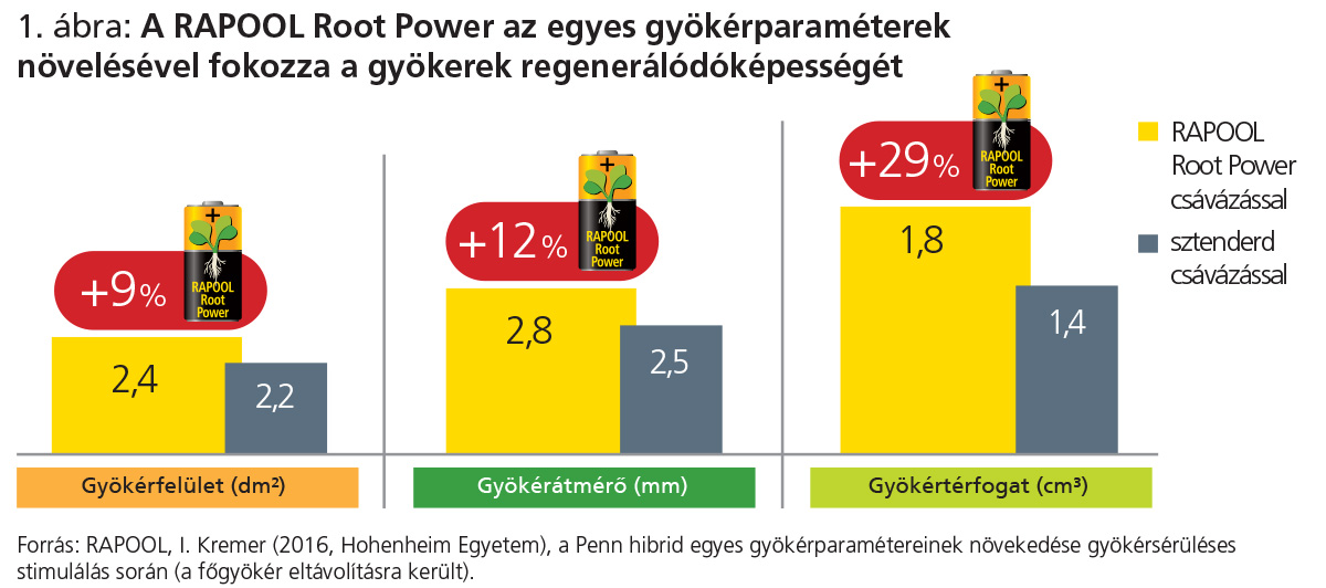 RAPOOL Root Power