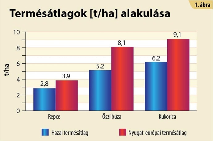 term&eacute;s&aacute;tlagok alakul&aacute;sa