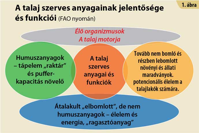 sz&aacute;rbomt&aacute;s