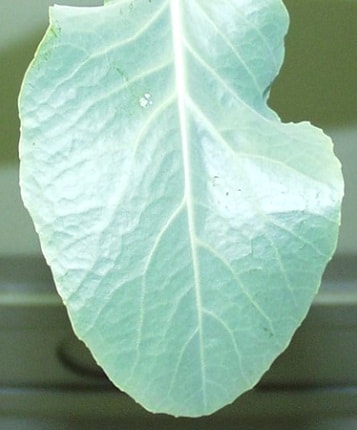 farmixlev&eacute;l 3