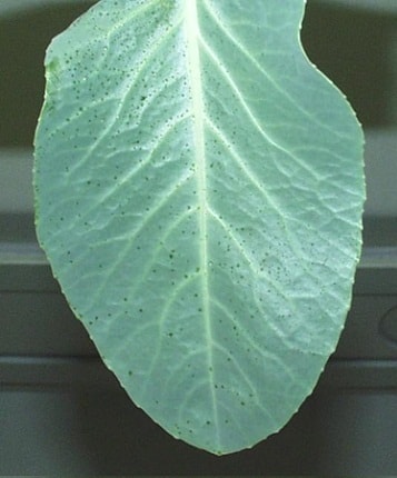 farmixlev&eacute;l 4