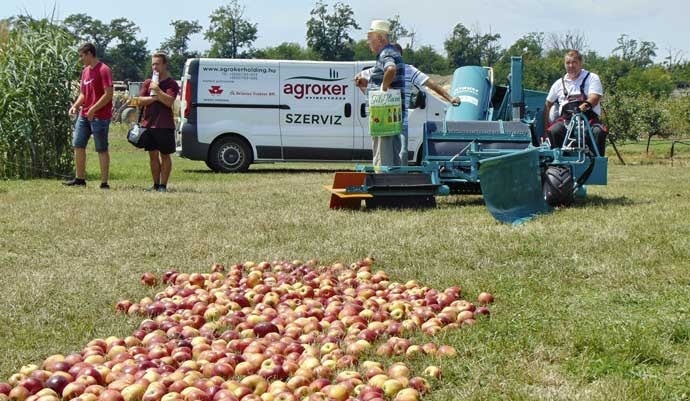 Krauss alma- &eacute;s di&oacute;felszedő