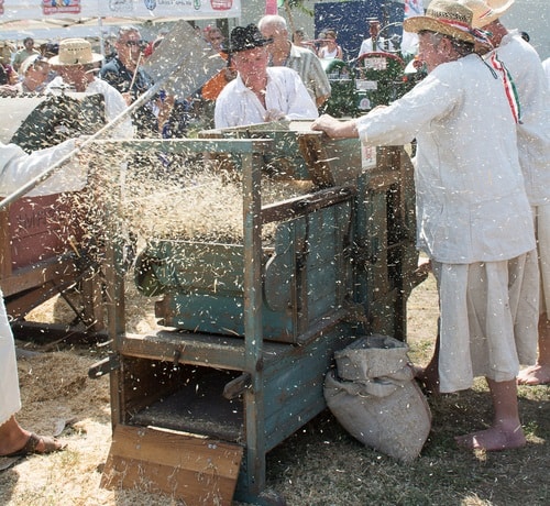 cs&eacute;pl&eacute;s