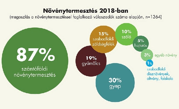 Agrostrat&eacute;ga kutatas novenytermesztes 2018