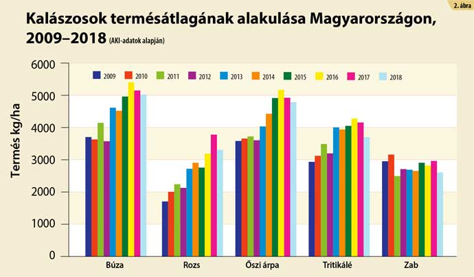 term&eacute;s&aacute;tlag