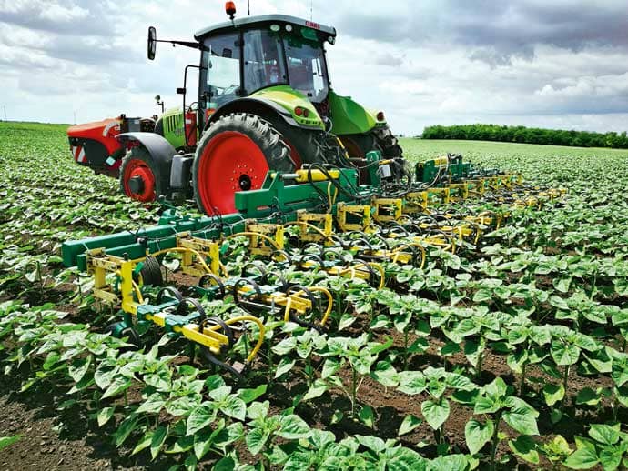 Foly&eacute;kony műtr&aacute;gya kijuttat&aacute;sa