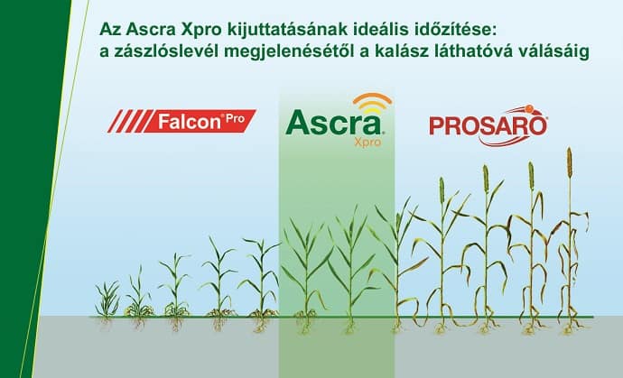 Ascra xpro időzítése