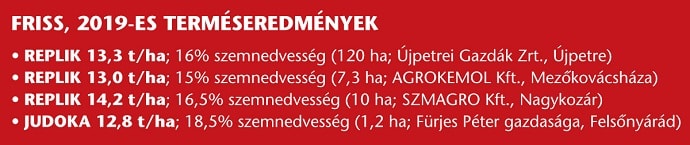 SU kukorica abra1 2019nov