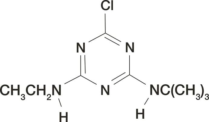 kukkeplet2 min