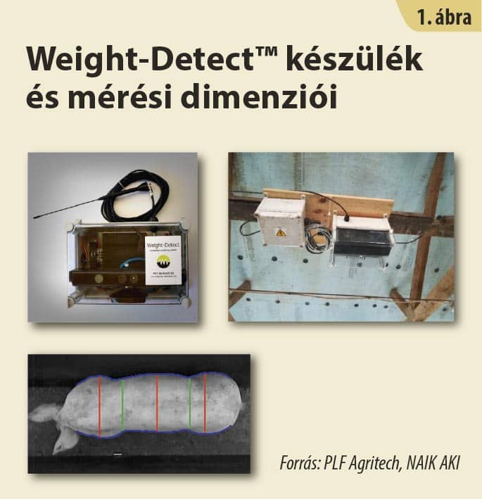 rtdiagr1 1