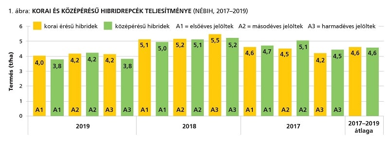 RP betakaritas grafikon1 2020jun min