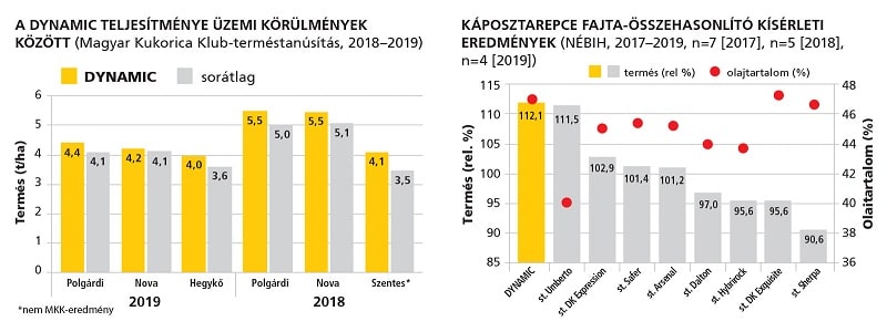 Dynamic grafikonok 2020