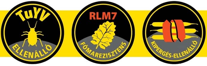 RP Dynamic ikonok 2020maj