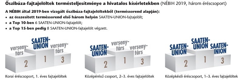 SU oszi buza fajta abra 2020au