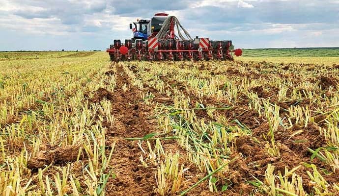 horsc focus 6.50 maestro 12 rv kukorica vet min