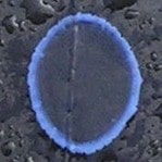 upl8