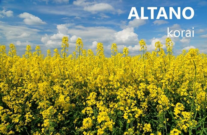 gkAltano rapeseed 1160 text