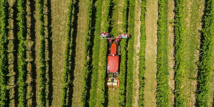 Az &uuml;ltetv&eacute;nyes g&eacute;pes&iacute;t&eacute;si piac speci&aacute;lis megold&aacute;sai