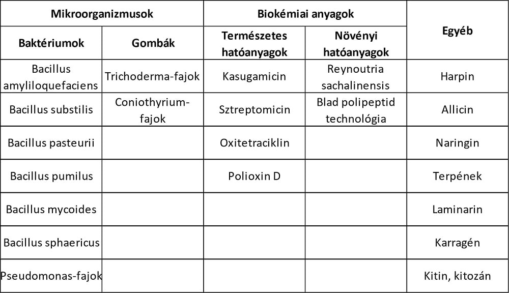 NO. október tábla 2