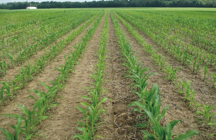 T&aacute;panyagok a sork&ouml;zművel&eacute;shez!