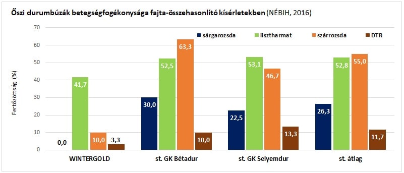 AN Heti Fokusz SU durumbuza Wintergold grafikon 2021aug