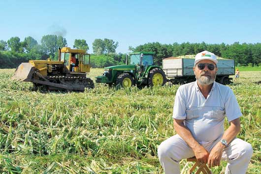 Kiv&aacute;l&oacute;  n&ouml;v&eacute;nyorvosok