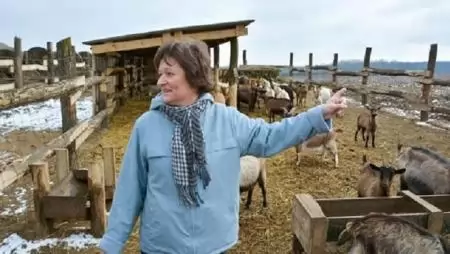 Válasz a fák között – Kikerülhetetlen kérdések egy női erdőmérnök életében