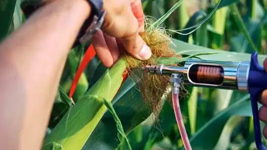 Mi a fontosabb:  mennyiség vagy minőség?