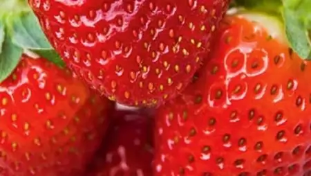 Karcsúsodjunk eperrel! – A legtöbb mangánt tartalmazó, vitaminokban gazdag gyümölcsünk