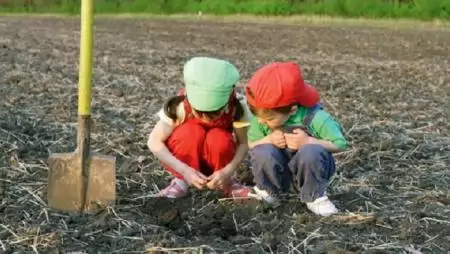 Ha agrobizniszről beszélünk... – Interjú Apáti Ferenc docenssel GDP-ről, versenyképességről, munkaerőhiányról