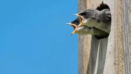 Pályázatok, támogatások