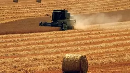 BIOFIL – A növényre váltott tudomány