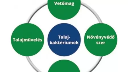 Ha talajbaktériumot választunk – Kötelező kérdések, hasznos tanácsok a termék vásárlásához