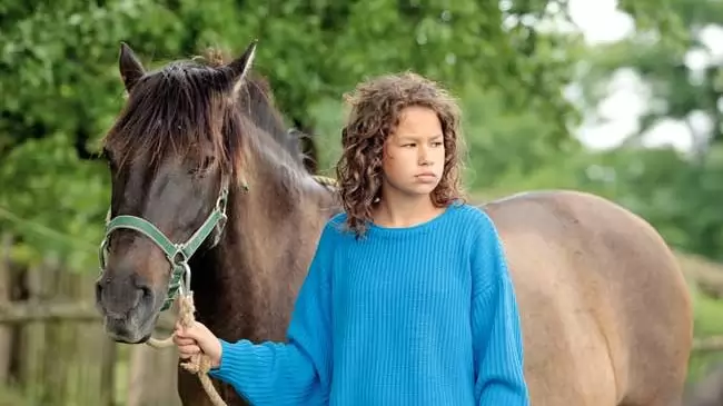 A kunfakó – Őseink lova életre kel