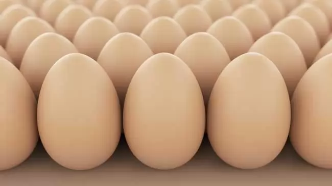 Fertőzött tojások