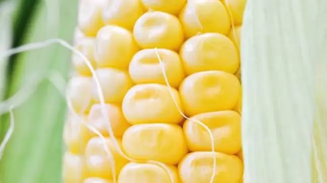 Kedvező  hatások – Öntözéses és öntözés nélküli  gazdálkodás számokban