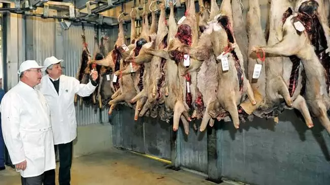 „A teljes agrárpolitikát a nagyüzem-ellenesség jellemzi” – Mérlegen a miniszter 