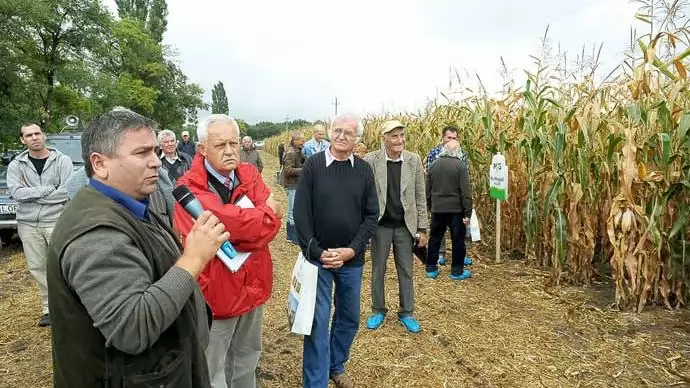 Mv Koppány, Mv Tarján,  Hunor és társai – Kukoricabemutató Martonvásáron, nemzetközi részvétellel