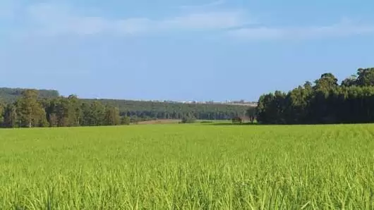 SAPS, AKG, KAT és a „többiek” – Milliárdok vidékfejlesztésre, közvetlen támogatásokra 2020-ig