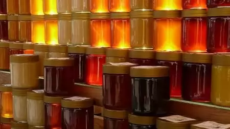 Ismét tiltakoztak az uniós kínai mézimport ellen magyar méhészek